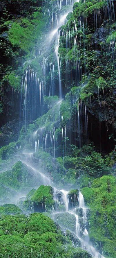 机智问答网页-怎样做“水煮花生”更入味?最全面的解答平台